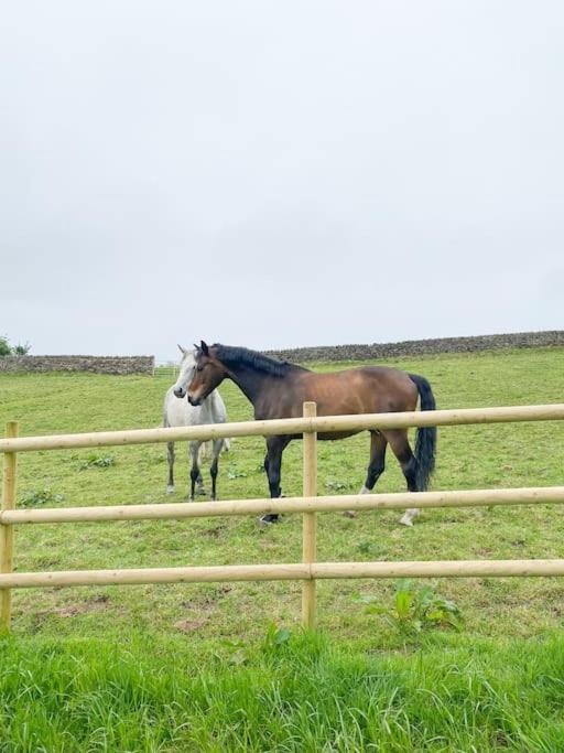 Luxury Detached Peak District Stone Barn - Dog Friendly Villa Hazelwood Esterno foto