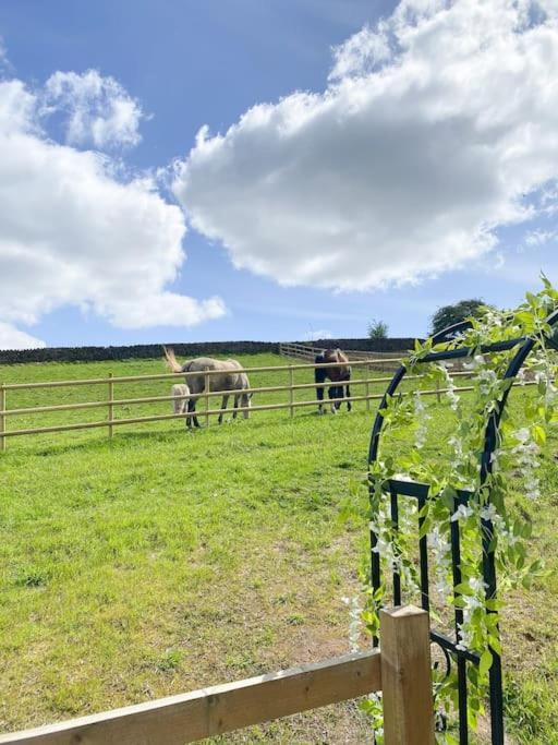 Luxury Detached Peak District Stone Barn - Dog Friendly Villa Hazelwood Esterno foto